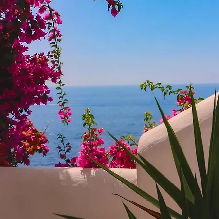 Costa Diva 3*